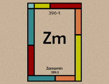 Elementary for Drugstore Beetle (Sitodrepa Paniceum)