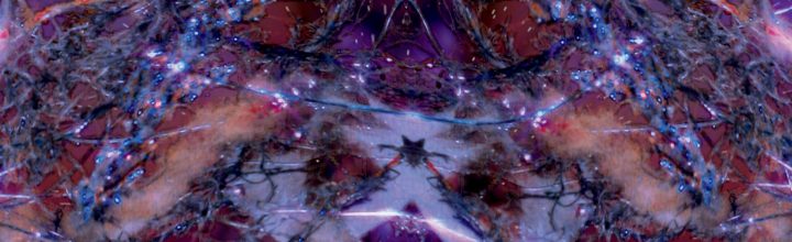 “sLightly Colossal” at Scottsdale Public Library