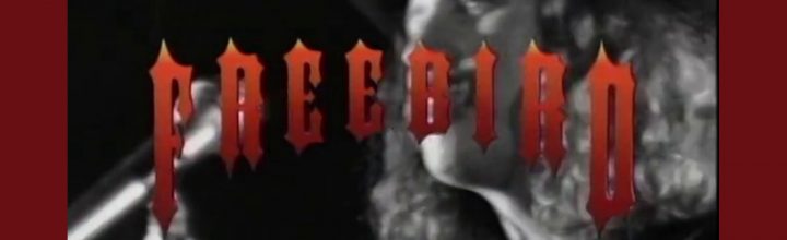 HACKING/MODDING/REMIXING AS FEMINIST PROTEST